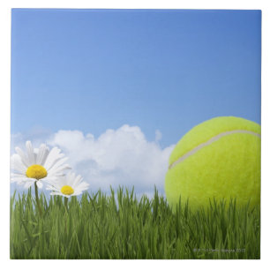 Tennisballen Tegeltje