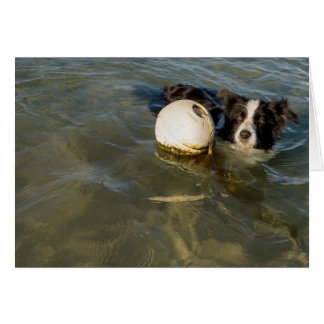 Tennisballen zijn voor zwakkelingen.