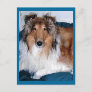 Tennyson-A collie Briefkaart