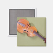 Tenor viol, 1667 magneet (Voorkant / Achterkant)
