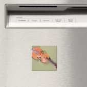 Tenor viol, 1667 magneet (Insitu (Vaatwasser))