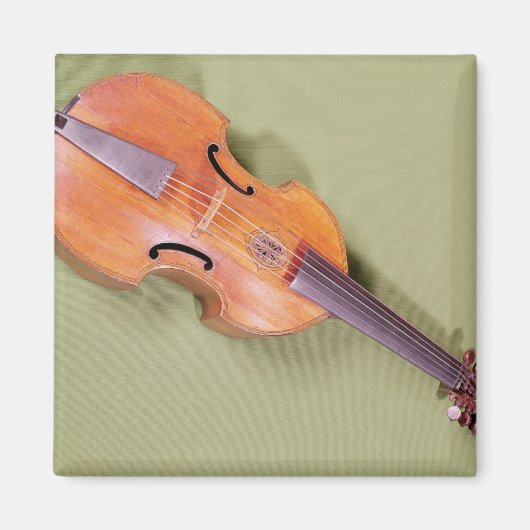 Tenor viol, 1667 magneet (Voorkant)