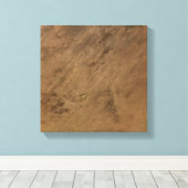 Tenoumer Crater in Mauritanië Canvas Afdruk (Insitu (Houten vloer))