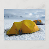 Tent Camping on the Juneau Icefield, Alaska Briefkaart (Voorkant)