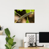 Tent Caterpijler Wall Art Poster (Thuiskantoor)