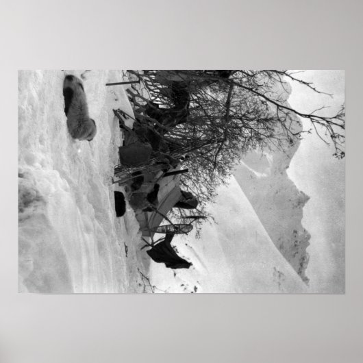 Tent en bezittingen van Explorer op Camp Site Poster (Voorkant)