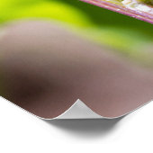 Tent-onderpijler op een eiken boom poster (Hoek)