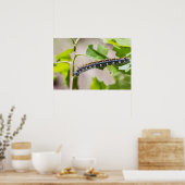 Tent-onderpijler op een eiken boom poster (Keuken)