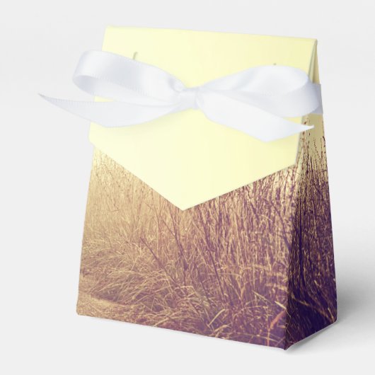 Tent Papier Favor Box Sunrise Pathway Walkway Path Bedankdoosjes (Voorkant Zijde)