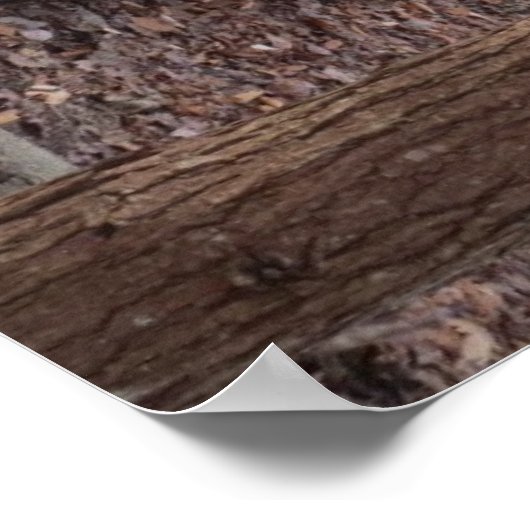 Tent Up Poster (Hoek)