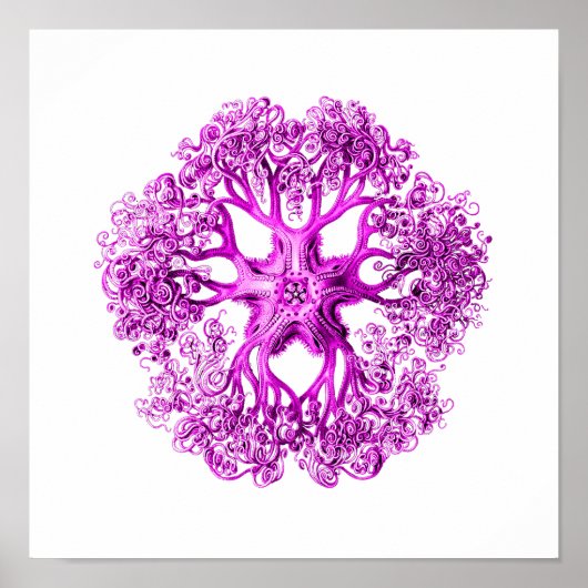 Tentacle Sectie in Roze Poster (Voorkant)
