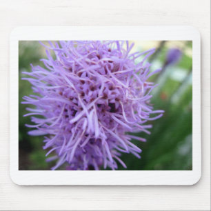Tentacle Spider Violet Flower Muismat