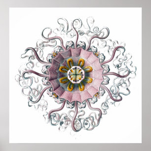 Tentacled Creater Poster