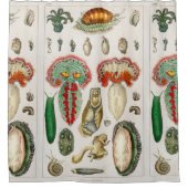 Tentacles Octopus Squid ward tentacles Douchegordijn (Voorkant)