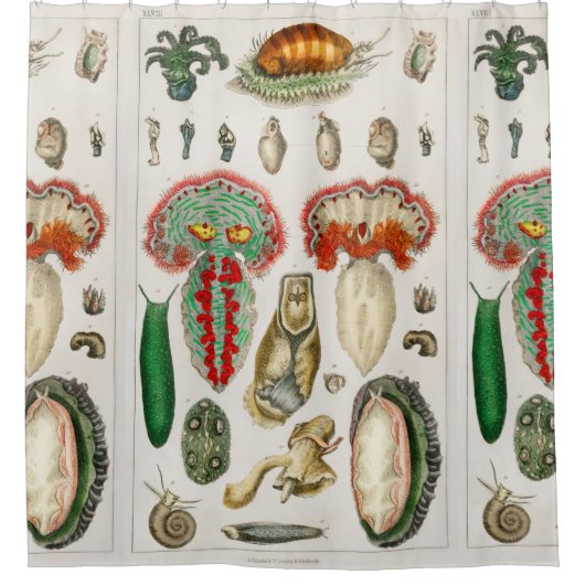 Tentacles Octopus Squid ward tentacles Douchegordijn (Voorkant)