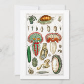 Tentacles Octopus Squidward tentacles Kaart (Voorkant)