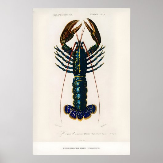 Tentoonstelling Kunstprint Charles dOrbigny Krimso Poster (Voorkant)