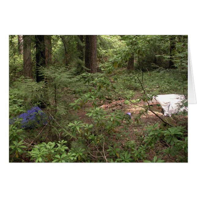 Tents Camping (Voorkant Horizontaal)