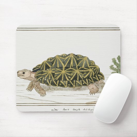 tentschildpad | Turtle Beach Zee Animal Muismat (Met muis)