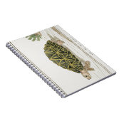 tentschildpad | Turtle Beach Zee Animal Notitieboek (Rechterzijde)