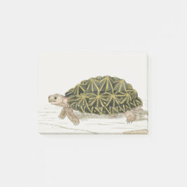 tentschildpad | Turtle Beach Zee Animal Post-it® Notes