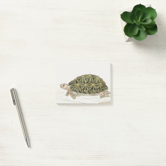 tentschildpad | Turtle Beach Zee Animal Post-it® Notes (Kantoor)