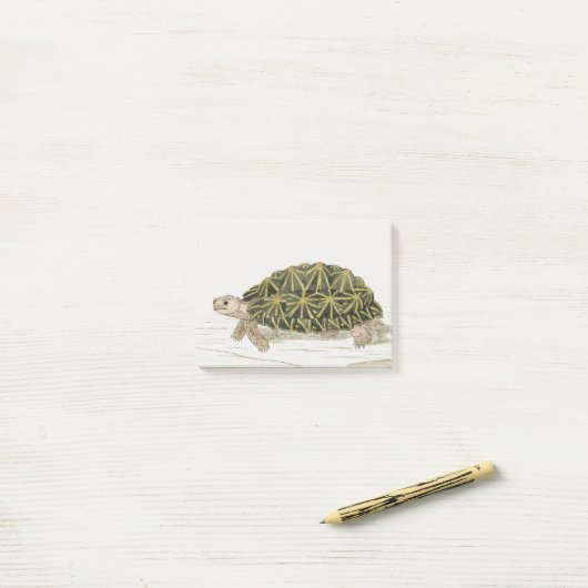 tentschildpad | Turtle Beach Zee Animal Post-it® Notes (Op bureau)