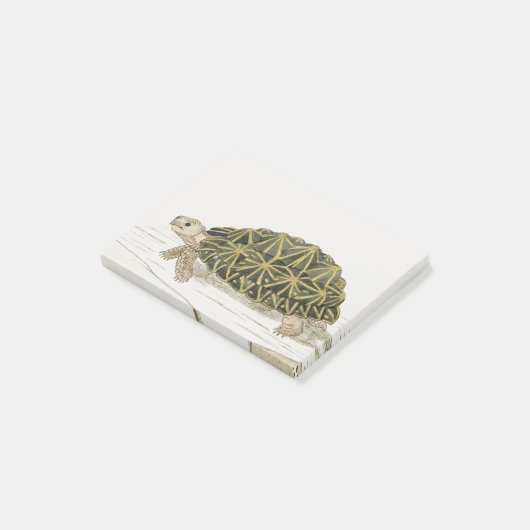 tentschildpad | Turtle Beach Zee Animal Post-it® Notes (Schuin)