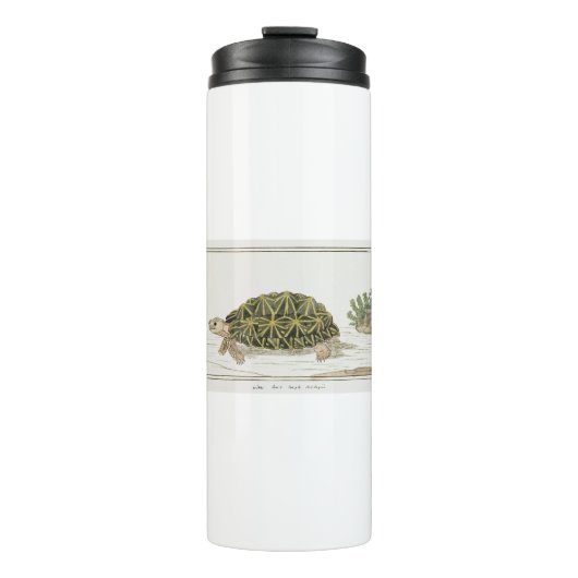 tentschildpad | Turtle Beach Zee Animal Thermosbeker (Voorkant)