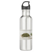 tentschildpad | Turtle Beach Zee Animal Waterfles (Voorkant)