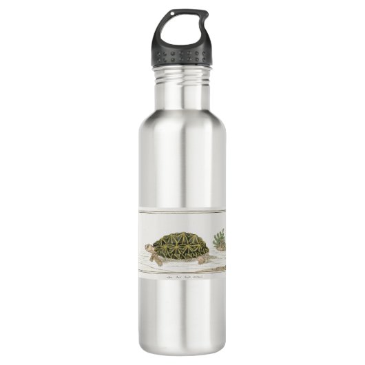 tentschildpad | Turtle Beach Zee Animal Waterfles (Voorkant)