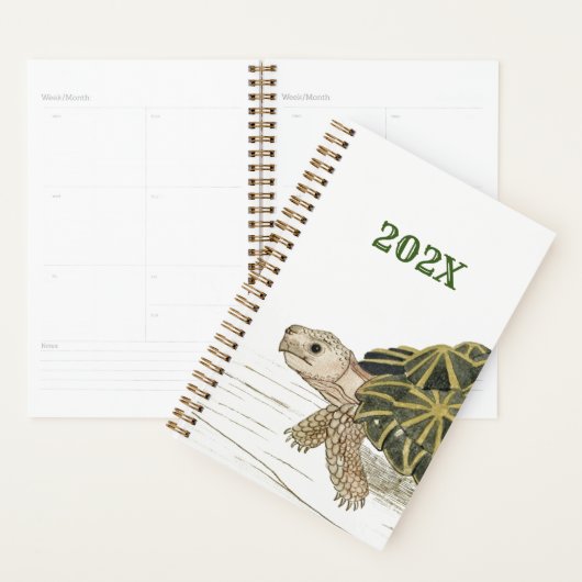 Tentschildpad | Turtle Beach Zee Dierlijke Legpuzz Planner (Display)