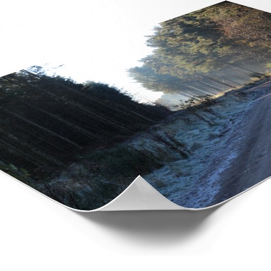 Tentsmuir Forest Poster (Hoek)