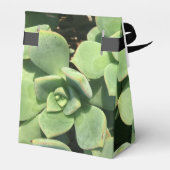 Tentstijl Favor Box - Groene vetplanten Bedankdoosjes (Achterkant)