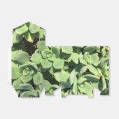 Tentstijl Favor Box - Groene vetplanten Bedankdoosjes (Uitgevouwen)