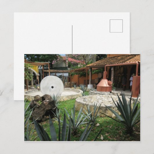 Tequila Brewery in Cozumel Briefkaart (Voorkant / Achterkant)