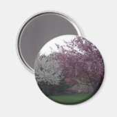 Ter ere van Sally_053 Magnet (Voorkant / Achterkant)