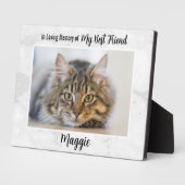 Ter liefdevolle herinnering - Herdenking aan kat S Fotoplaat (Zijkant)