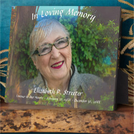 Ter nagedachtenis 1017 fotoplaat