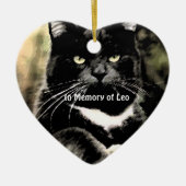 Ter nagedachtenis aan de Ornamenten van Cat Christ (Voorkant)