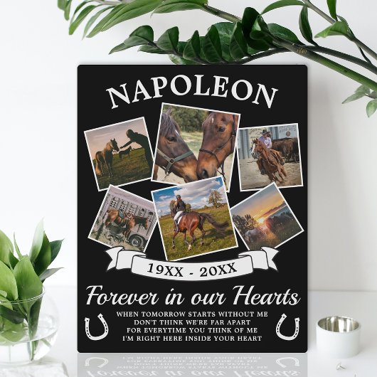 Ter nagedachtenis aan paard fotoplaat