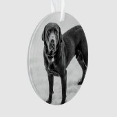 Ter nagedachtenis - Black Lab aanpasbaar monument Ornament (voorkant)