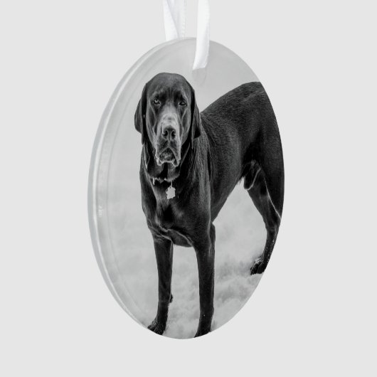 Ter nagedachtenis - Black Lab aanpasbaar monument Ornament (voorkant)