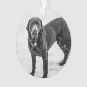 Ter nagedachtenis - Black Lab aanpasbaar monument Ornament (voorkant)