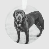 Ter nagedachtenis - Black Lab aanpasbaar monument Ornament (voorkant)