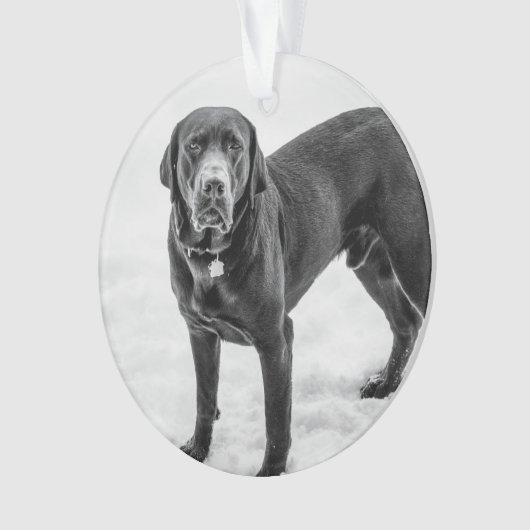 Ter nagedachtenis - Black Lab op maat gemaakte her Ornament (voorkant)