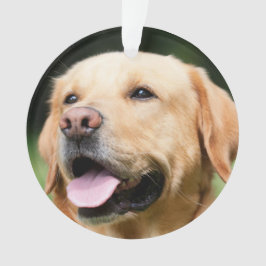 Ter nagedachtenis - Gouden Lab aanpasbaar aandenke Ornament