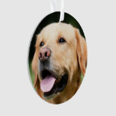 Ter nagedachtenis - Gouden Lab aanpasbaar herdenki Ornament (voorkant)