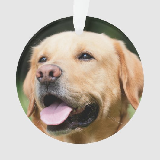 Ter nagedachtenis - Gouden Lab aanpasbaar herdenki Ornament (voorkant)