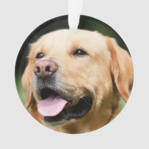 Ter nagedachtenis - Gouden Lab aanpasbaar monument